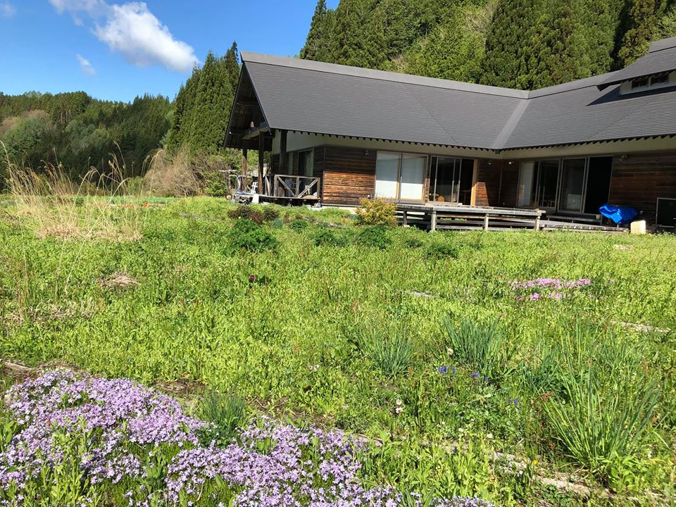 【飛騨にゅうかわ太陽の家】たんぽぽ蜜の作り方 小林住宅工業 【飛騨にゅうかわ太陽の家】たんぽぽ蜜の作り方 小林住宅工業